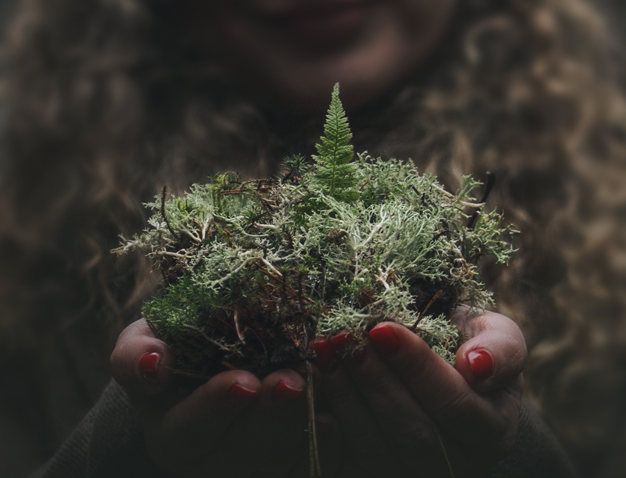 superwizja osób konsekrowanych terapia Iza Tenus - Rosół PoMoc Przemyśl